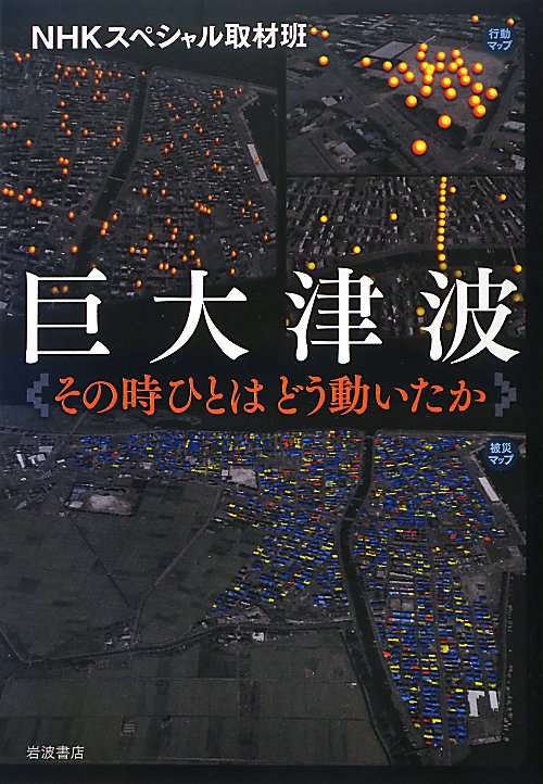 巨大津波　その時ひとはどう動いたか　