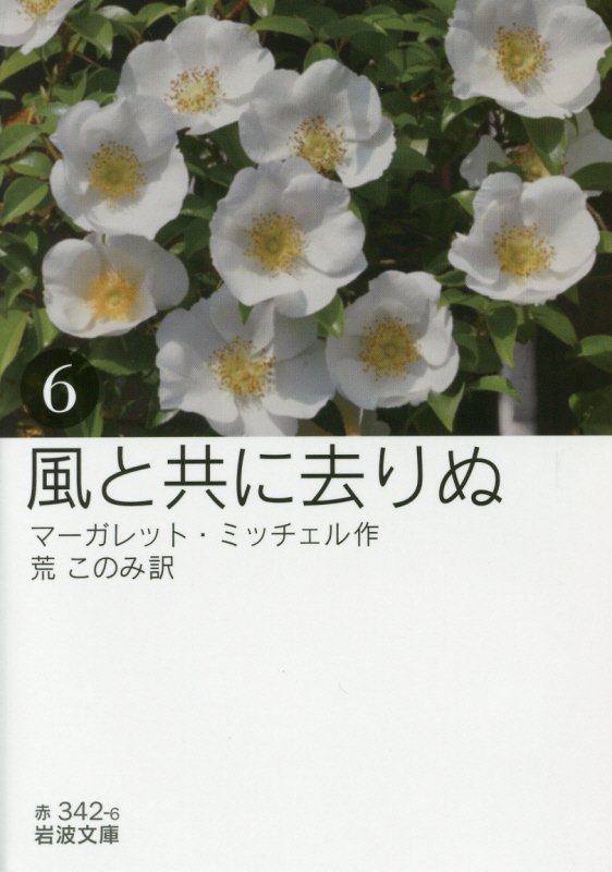 風と共に去りぬ　６　（岩波文庫　赤　３４２－６）