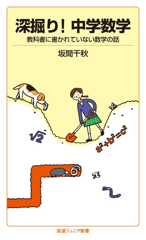 深掘り！中学数学　教科書に書かれていない数学の話　　（岩波ジュニア新書）