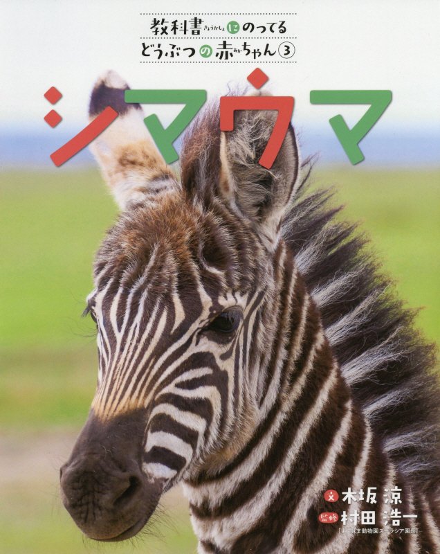 教科書にのってるどうぶつの赤ちゃん　３　シマウマ