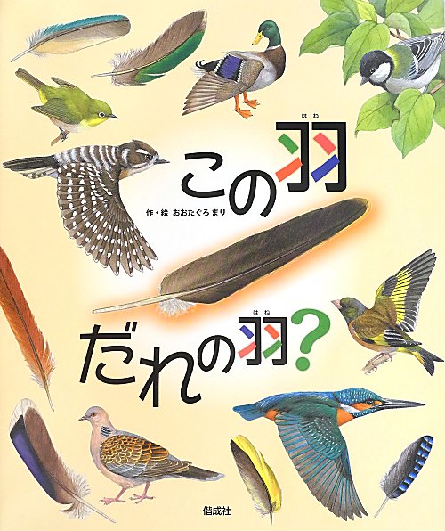 この羽だれの羽？　