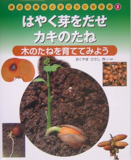 身近な植物と友だちになる本　３　はやく芽をだせカキのたね－木のたねを育ててみよう－　　（身近な植物と友だちになる本）