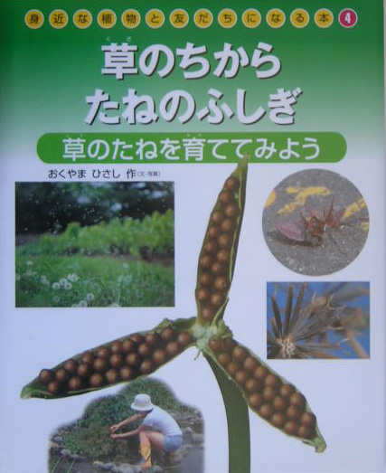 身近な植物と友だちになる本　４　草のちからたねのふしぎ－草のたねを育ててみよう－　　（身近な植物と友だちになる本）