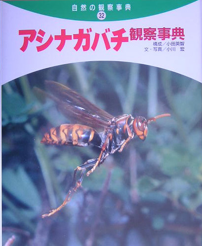 アシナガバチ観察事典　　（自然の観察事典　３２）