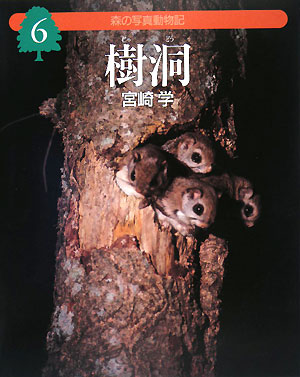 樹洞　　（森の写真動物記　６）