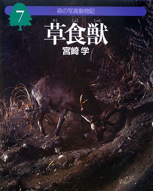 草食獣　　（森の写真動物記　７）