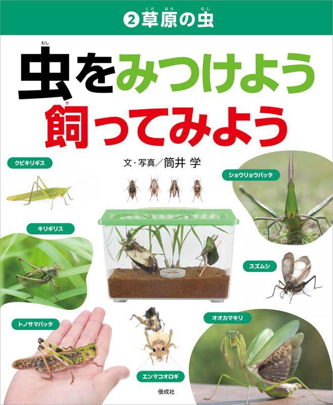 虫をみつけよう飼ってみよう　２　草原の虫