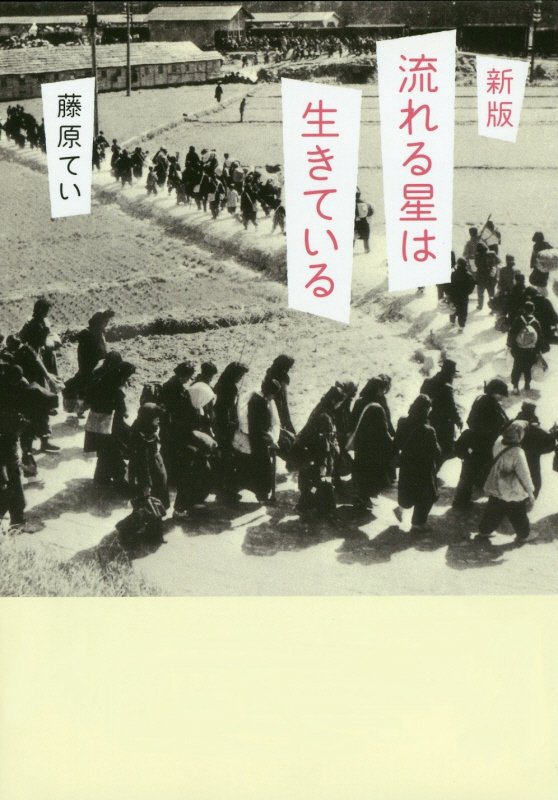 流れる星は生きている　　新版（偕成社文庫）