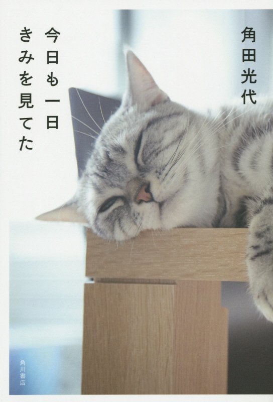 今日も一日きみを見てた　