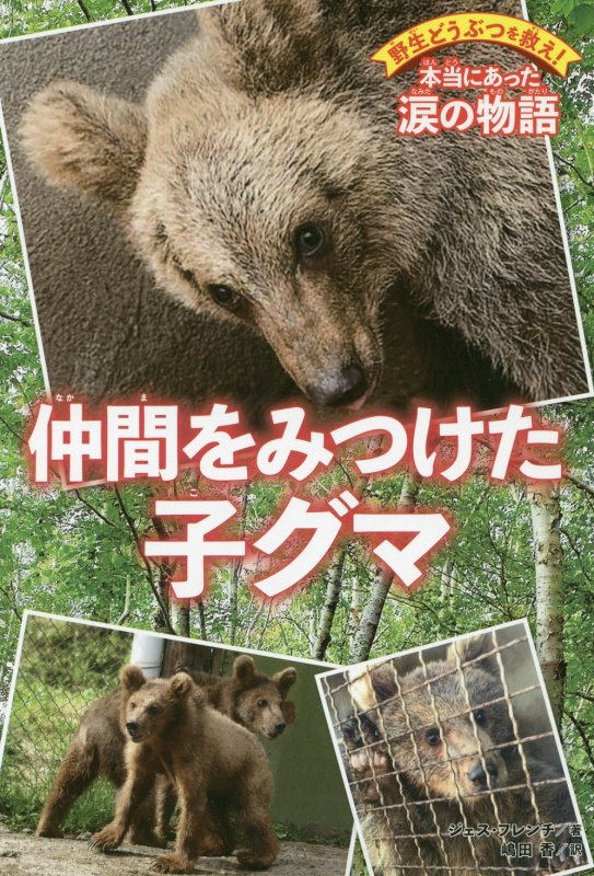 仲間をみつけた子グマ　　（野生どうぶつを救え！本当にあった涙の物語）