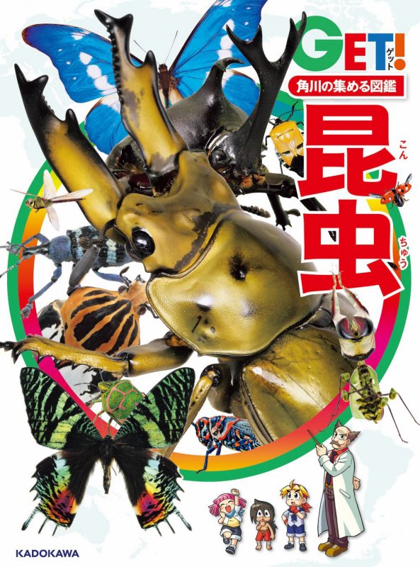 昆虫　　（ＧＥＴ！角川の集める図鑑）