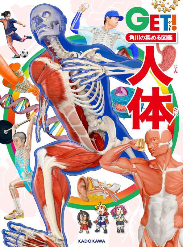 人体　　（ＧＥＴ！角川の集める図鑑）
