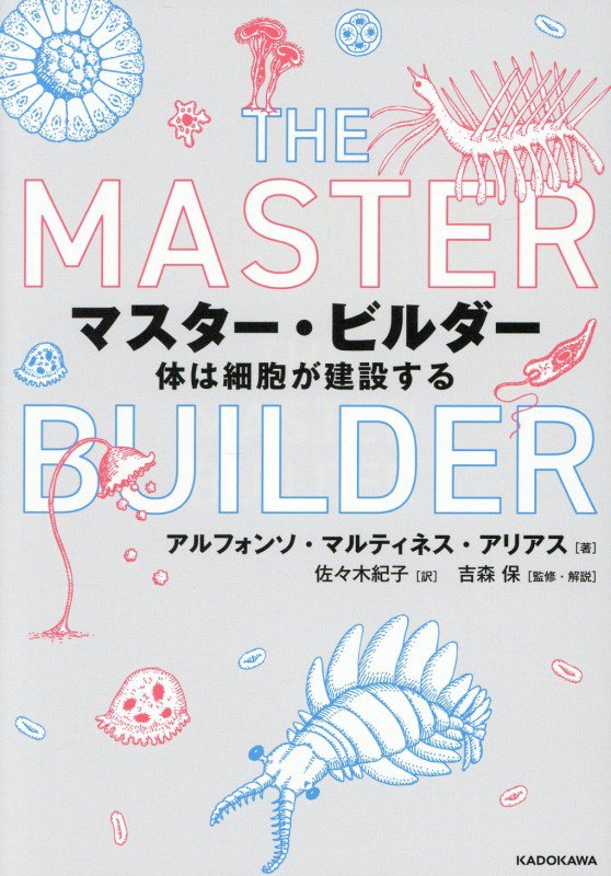 マスター・ビルダー　体は細胞が建設する　