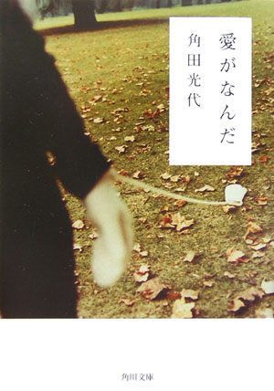 愛がなんだ　　（角川文庫　か　３９－４）