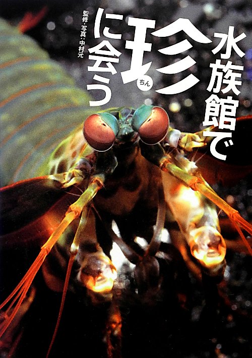 水族館で珍に会う　