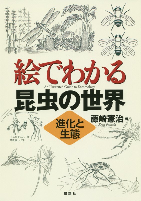 絵でわかる昆虫の世界　進化と生態　　（絵でわかるシリーズ）