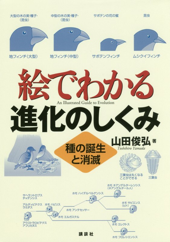 絵でわかる進化のしくみ　種の誕生と消滅　　（絵でわかるシリーズ）