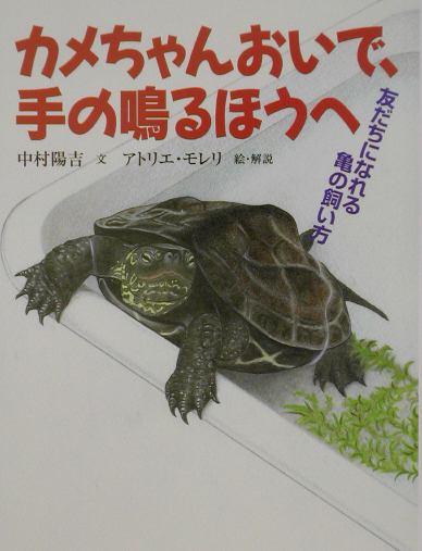 カメちゃんおいで、手の鳴るほうへ　友だちになれる亀の飼い方　