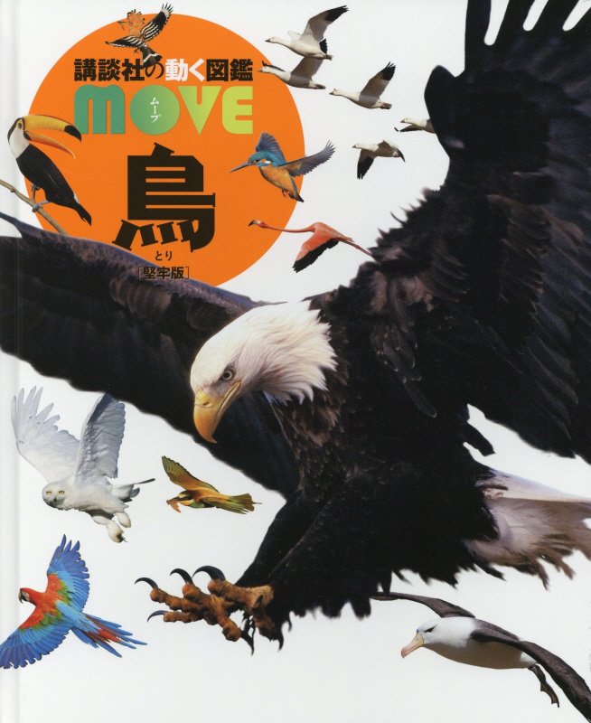 鳥　　（講談社の動く図鑑ＭＯＶＥ）