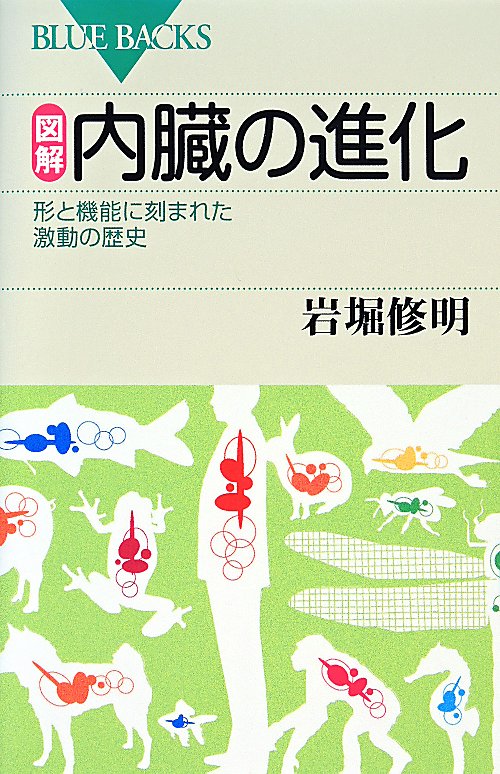 図解・内臓の進化　形と機能に刻まれた激動の歴史　　（ブルーバックス）
