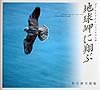 地球岬に翔ぶ　ポロ・チケウエとハヤブサの王国　熊谷勝写真集　