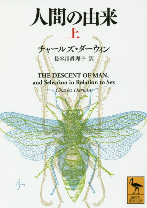 人間の由来　上　（講談社学術文庫）