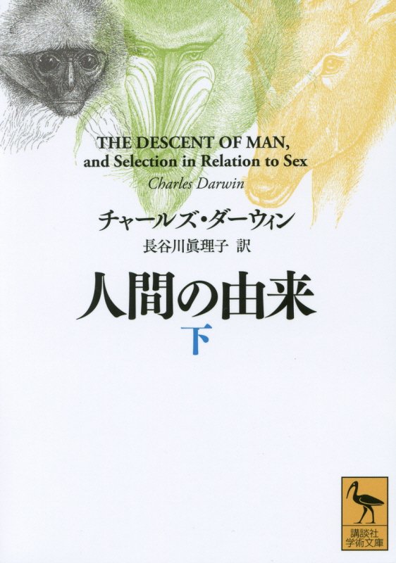 人間の由来　下　（講談社学術文庫）