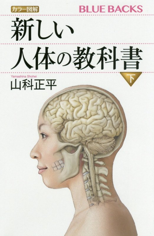 カラー図解新しい人体の教科書　下　（ブルーバックス）
