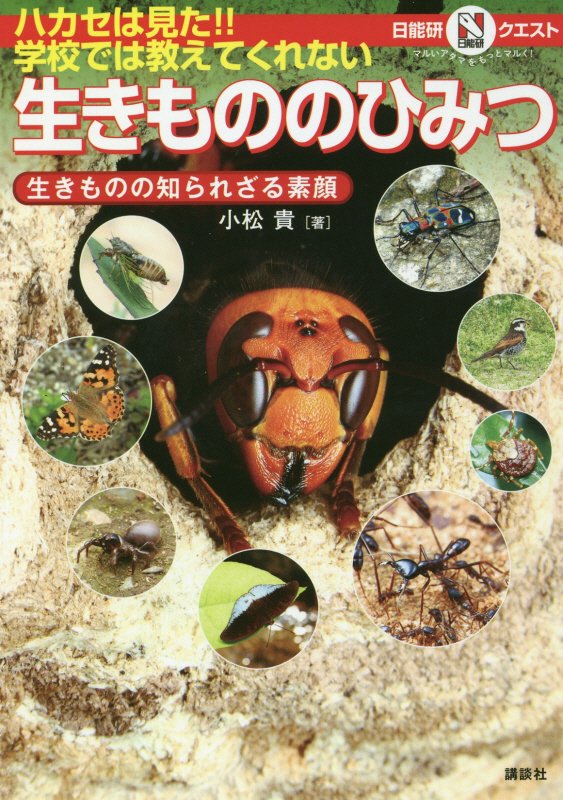 ハカセは見た！！学校では教えてくれない生きもののひみつ　生きものの知られざる　　（日能研クエスト：マルいアタマをもっとマ