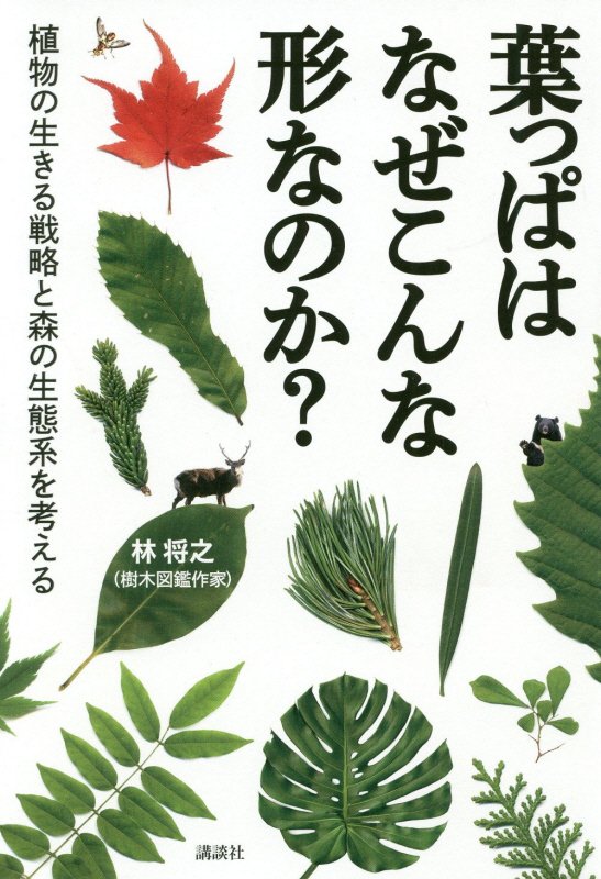 葉っぱはなぜこんな形なのか？　植物の生きる戦略と森の生態系を考える　