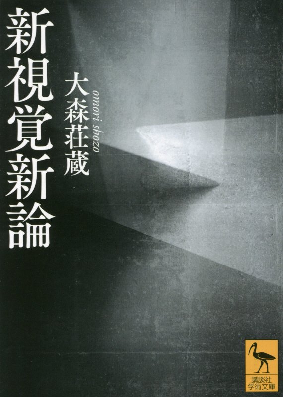 新視覚新論　　（講談社学術文庫）