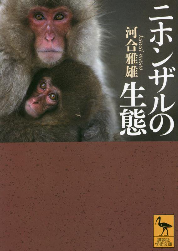 ニホンザルの生態　　（講談社学術文庫）