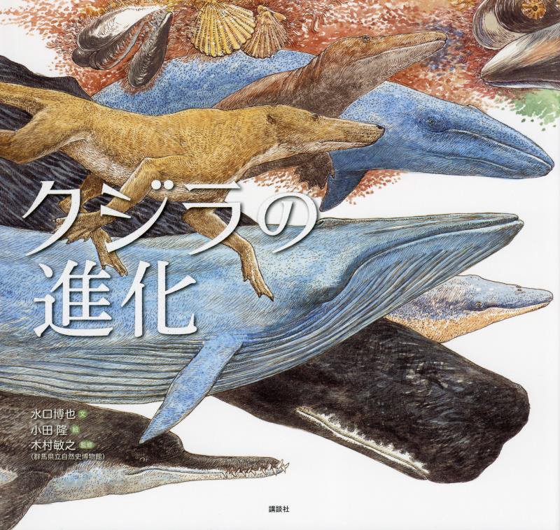 クジラの進化　　（講談社の創作絵本）