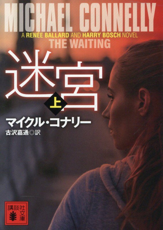 迷宮　上　（講談社文庫）