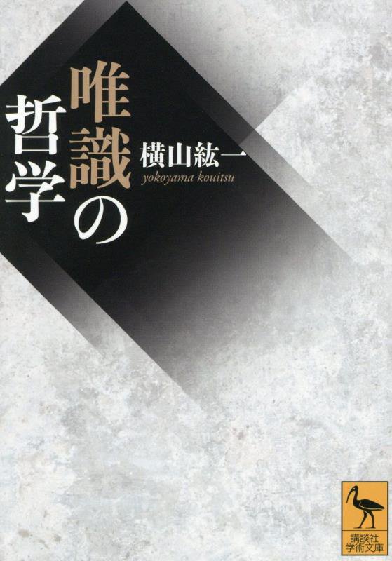 唯識の哲学　　（講談社学術文庫）