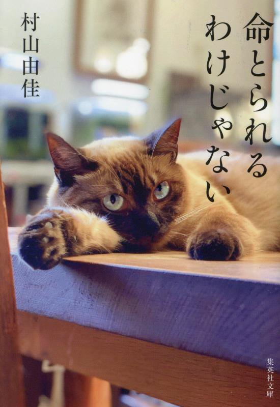 命とられるわけじゃない　　（集英社文庫）