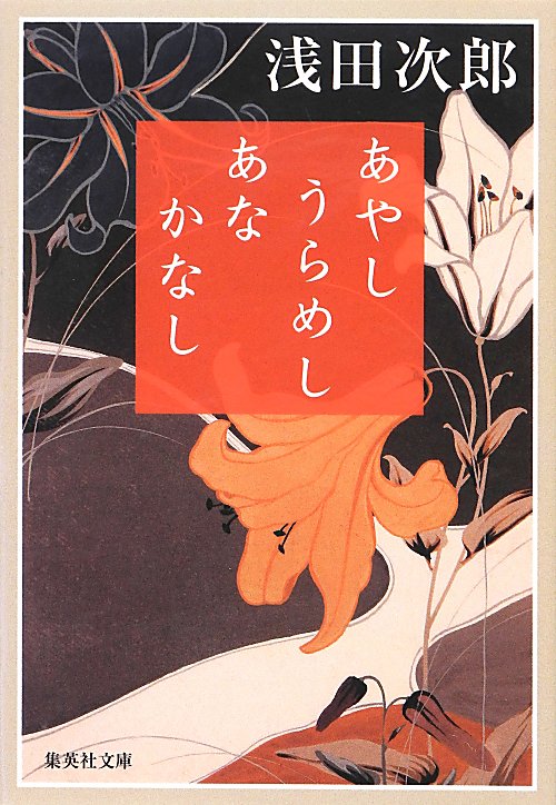 あやしうらめしあなかなし　　（集英社文庫　あ　３６－１７）