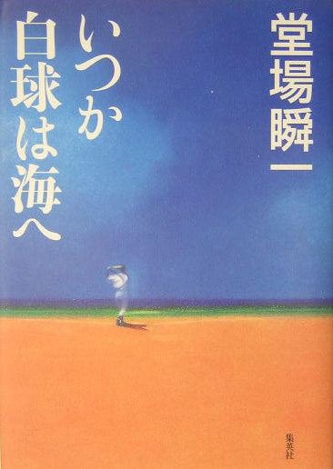 いつか白球は海へ　
