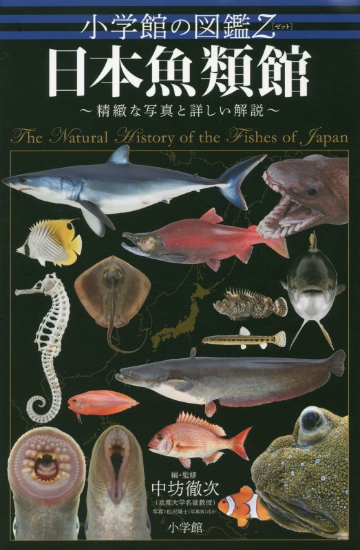 日本魚類館　精緻な写真と詳しい解説　　（小学館の図鑑Ｚ）