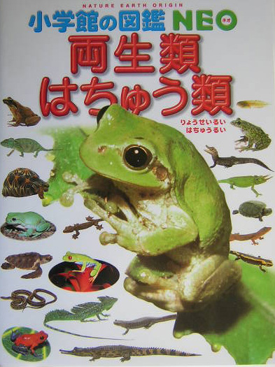 両生類・はちゅう類　　（小学館の図鑑ＮＥＯ）