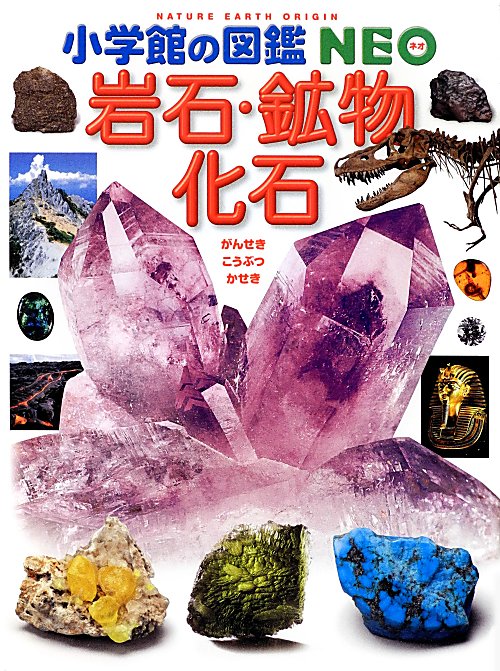 岩石・鉱物・化石　　（小学館の図鑑・ＮＥＯ　１８）