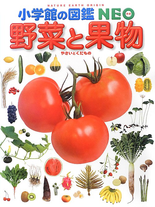 野菜と果物　　（小学館の図鑑ＮＥＯ）