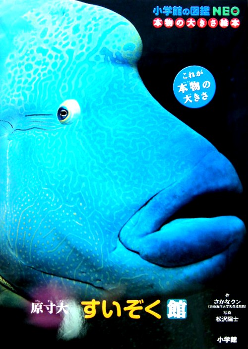 すいぞく館　原寸大　　（小学館の図鑑ＮＥＯ　本物の大きさ絵本）