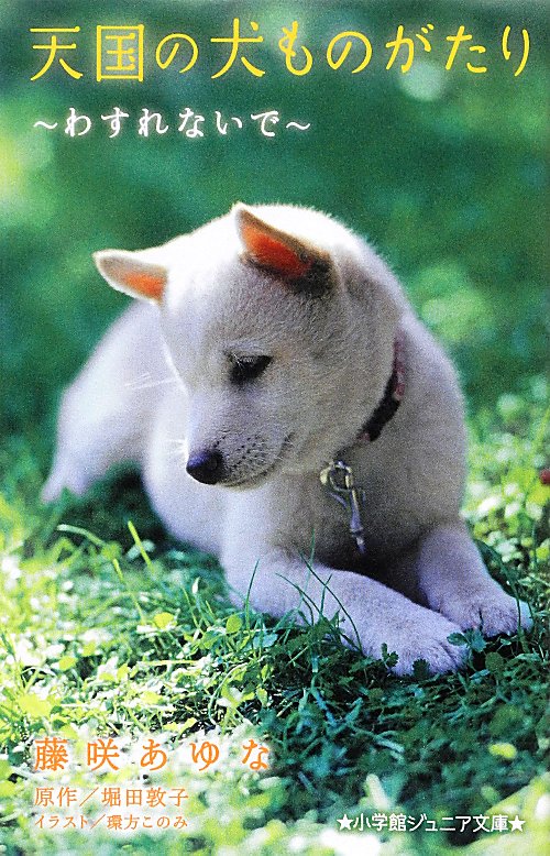 天国の犬ものがたり　　わすれないで（小学館ジュニア文庫）