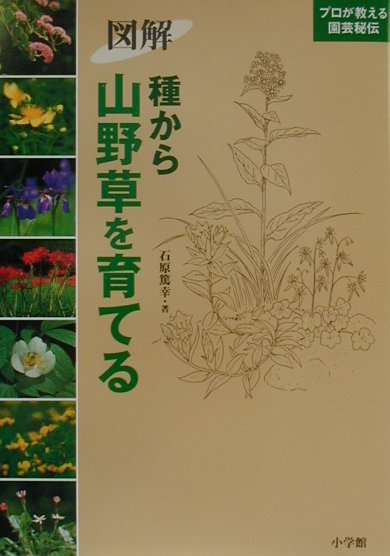 図解種から山野草を育てる　　（プロが教える園芸秘伝）