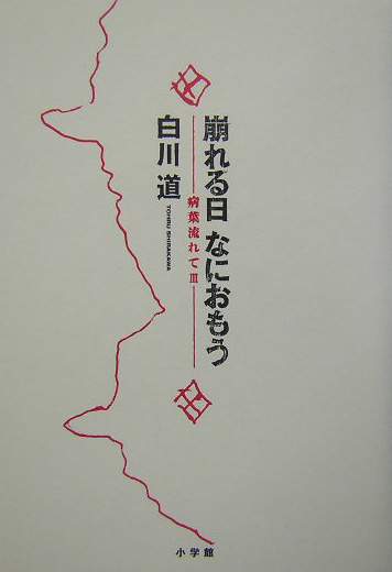 崩れる日なにおもう　病葉流れて３　