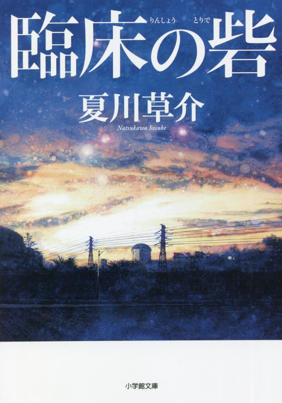 臨床の砦　　（小学館文庫）