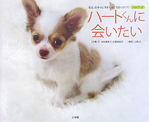 ハートくんに会いたい　見る人を幸せにする“しるし”を持つチワワフォトブック　