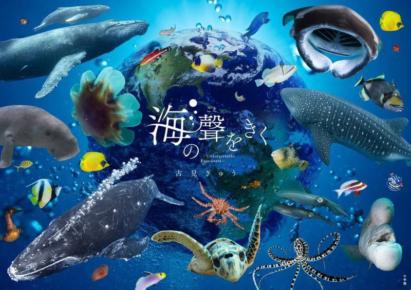 海の聲をきく　Ｕｎｆｏｒｇｅｔｔａｂｌｅ　Ｅｎｃｏｕｎｔｅｒ　