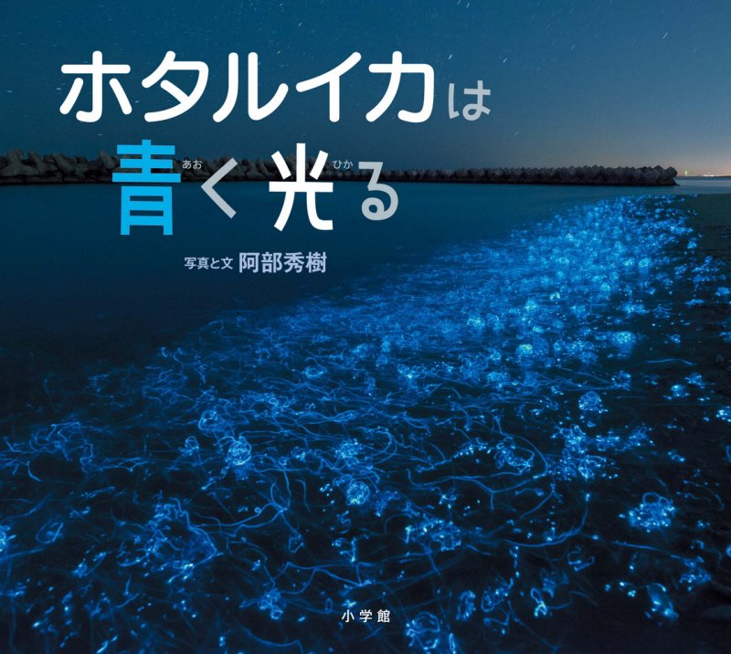 ホタルイカは青く光る　　（小学館の図鑑ＮＥＯの科学絵本）